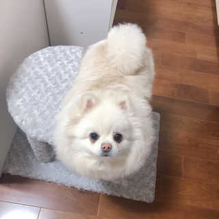 송주아님이 올린 리뷰 사진 2