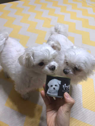 [펫토리아] BEST 한캔뚝딱 강아지 캔간식 — 5점을 준 리뷰어가 2019년 3월 올린 사용 사진