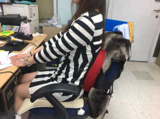 MisunCho님이 올린 리뷰 사진 2