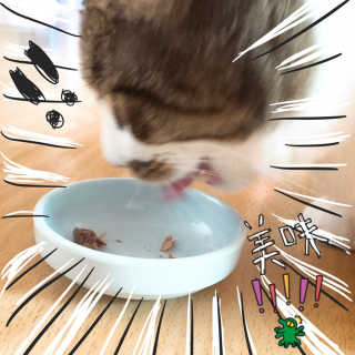 노링이님이 올린 리뷰 사진 4