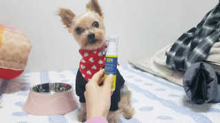 솜희님이 올린 리뷰 사진 3