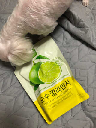 탁이처럼님이 올린 리뷰 사진 2