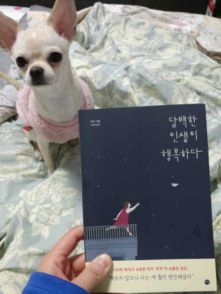 pobi님이 올린 리뷰 사진 3