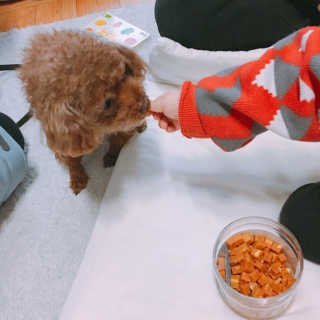 한나뿡님이 올린 리뷰 사진 4