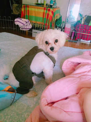 7hwoo님이 올린 리뷰 사진 1