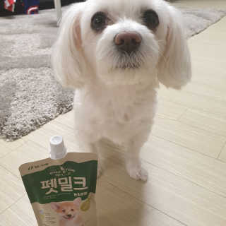 [빙그레] 에버그로 생유산균 1봉（10포입）+펫밀크2팩 — 5점을 준 리뷰어가 2019년 3월 올린 사용 사진