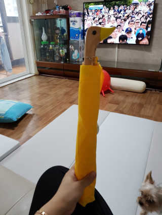 임수정님이 올린 리뷰 사진 1
