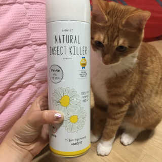 밍밍이이잉님이 올린 리뷰 사진 1