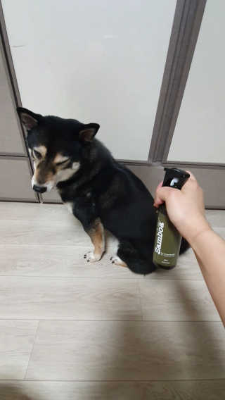 주이님이 올린 리뷰 사진 2