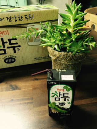 라일마미님이 올린 리뷰 사진 2