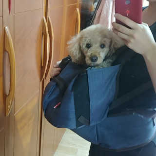songyn님이 올린 리뷰 사진 4