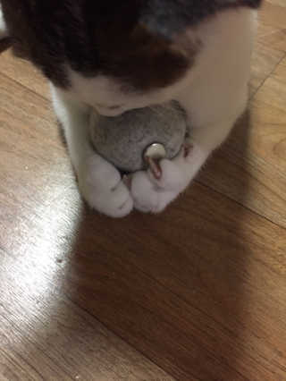 까꿍님이 올린 리뷰 사진 3