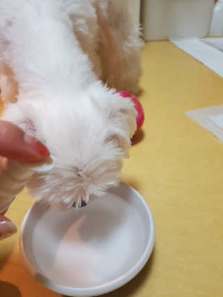 뽀오오옹님이 올린 리뷰 사진 4
