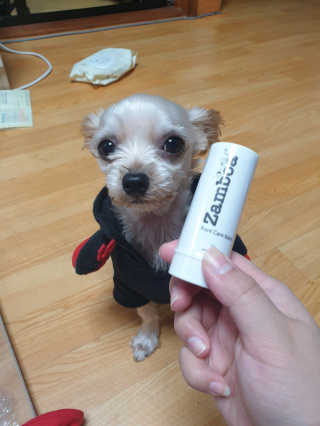 토리찡님이 올린 리뷰 사진 1