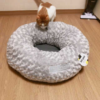 은지님이 올린 리뷰 사진 1