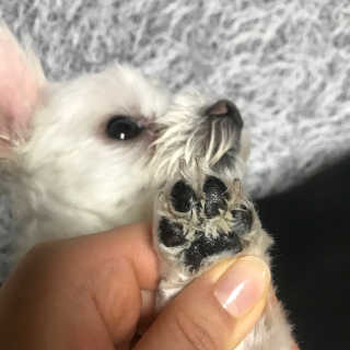 🦄행운의여신유니콩🦄님이 올린 리뷰 사진 2