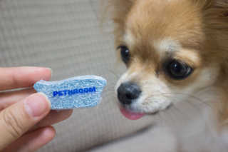 Pethroom 페스룸 PETHROOM DEEP CLEAN BATHBOMB 페스룸 딥클린 배쓰밤 — 5점을 준 리뷰어가 2020년 3월 올린 사용 사진