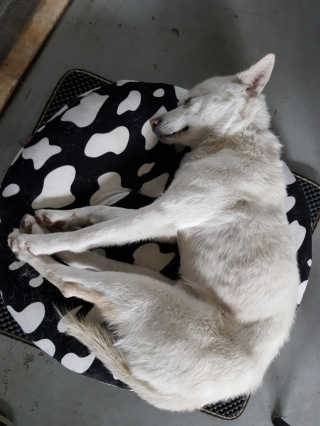 Jenny님이 올린 리뷰 사진 3