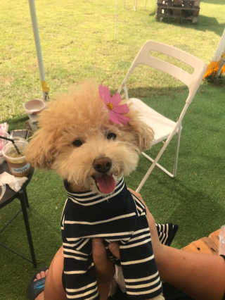 서주나님이 올린 리뷰 사진 1