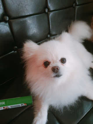 쟈스민님이 올린 리뷰 사진 1