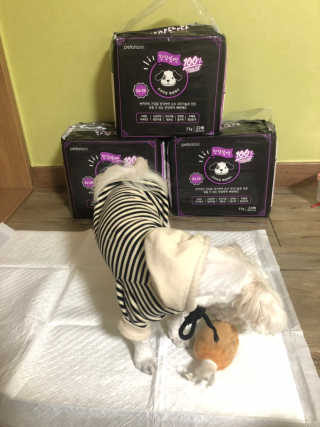 펫토리아 한장뚝딱 NEW 프리미엄 국내산 배변패드 — 5점을 준 리뷰어가 2019년 5월 올린 사용 사진