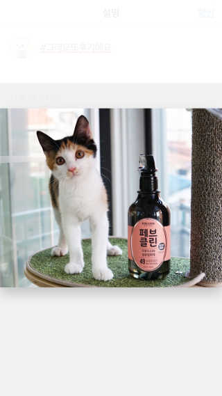 더블유드레스룸 페브클린 500ml — 4.33점을 준 리뷰어가 2018년 8월 올린 사용 사진
