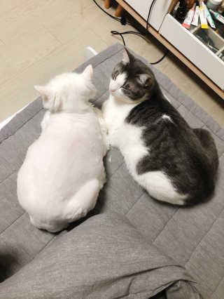 째니니님이 올린 리뷰 사진 1