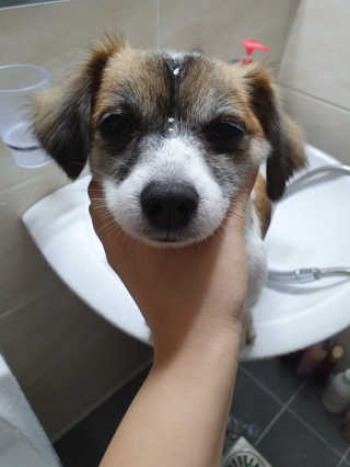 김미진님이 올린 리뷰 사진 1