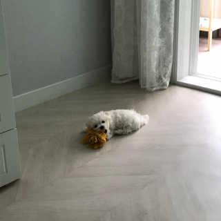 sohyeon님이 올린 리뷰 사진 4