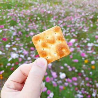 joanna님이 올린 리뷰 사진 3
