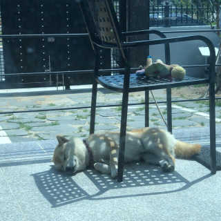 henni님이 올린 리뷰 사진 3
