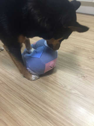 전은정님이 올린 리뷰 사진 1