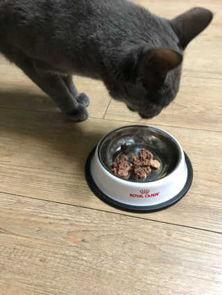 썽츄님이 올린 리뷰 사진 2