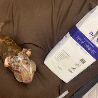 풀희띠님이 올린 리뷰 사진 2
