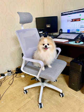 오아희님이 올린 리뷰 사진 2