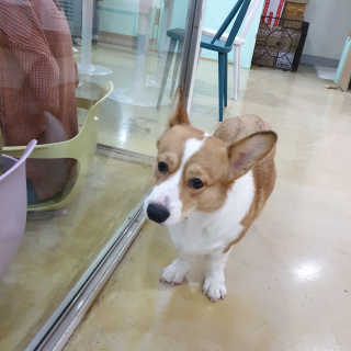 dgmugstar님이 올린 리뷰 사진 2