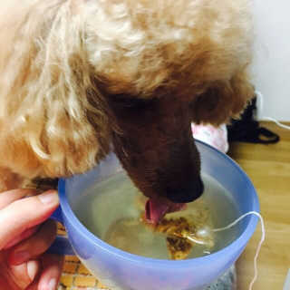 ChoiHaYoung님이 올린 리뷰 사진 4