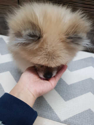 레고사줘님이 올린 리뷰 사진 4