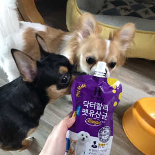 닥터할리펫밀크 8종 — 5점을 준 리뷰어가 2018년 10월 올린 사용 사진