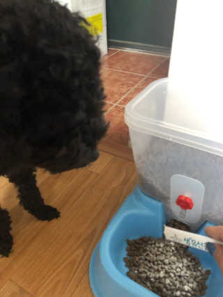 콩자엄마님이 올린 리뷰 사진 4