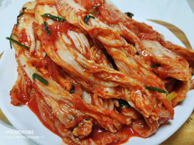 풀무원 톡톡 김치 리뷰 사진