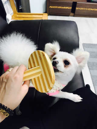 고은화님이 올린 리뷰 사진 4