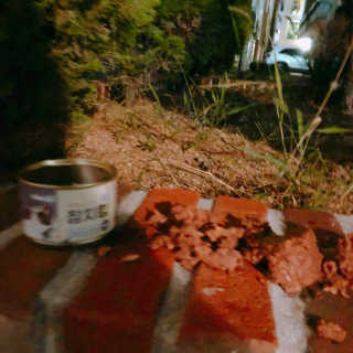 콩순이엄마님이 올린 리뷰 사진 1