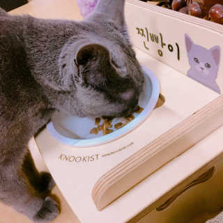 율집사님이 올린 리뷰 사진 1