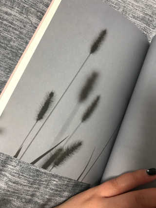 noname님이 올린 리뷰 사진 4