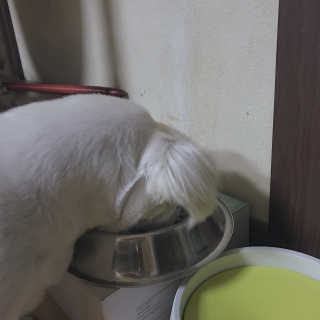 슈민짱짱님이 올린 리뷰 사진 4