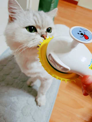 o7902o님이 올린 리뷰 사진 1