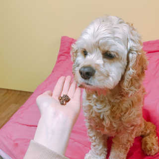 연정님이 올린 리뷰 사진 4