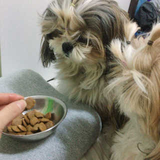민준맘님이 올린 리뷰 사진 4