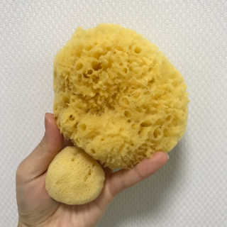 룰라러브 모공관리 끝 지중해산 천연해면 바디스펀지 — 5점을 준 리뷰어가 2018년 4월 올린 사용 사진